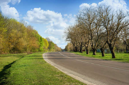asphalt road in countryside on sunny spring dayの写真素材