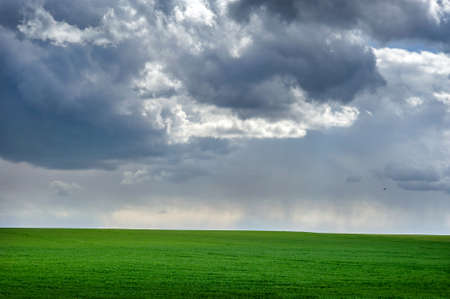 Beautiful storm clouds over green spring field,agriculture planted wheatの写真素材