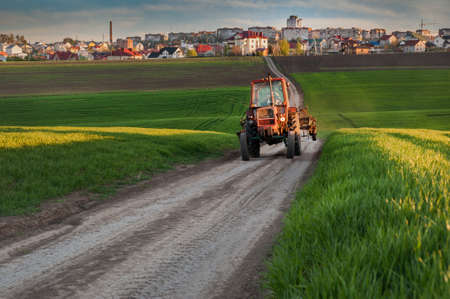 tractor driving on a field road through a green field of winter wheat in the evening sunの写真素材