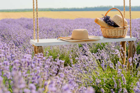 lavender field, hat and picnic basket on a swing swing, a symbol of summer vacationの素材 [FY310187556227]