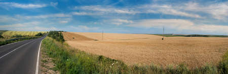 Panoramic view, highway near a field of cereals, hills on a background of blue sky with clouds. The concept of agricultural hills landscapes.の写真素材