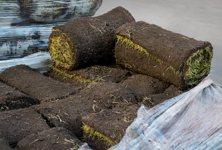 Lawn grass close up in rolls of packaging on a pallet. Laying a new lawn, urban landscape design and environment.の写真素材
