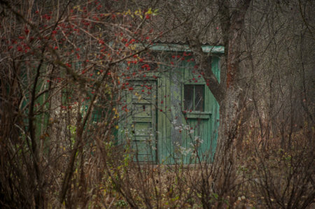 an old wooden house in the thickets of the forest, mysticism and mysteryの写真素材