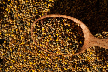 Organic bee pollen and wooden spoon , top view close-upの写真素材