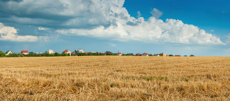 beautiful panorama of wheat field, dry stubble, beautiful clouds and village and houses on the horizonの写真素材