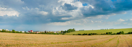 Panoramic view of wheat fields, straw stubble in foreground, hills, green soybeans against blue sky with clouds, landscape of agricultural hills.の写真素材