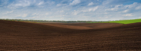 beautiful lines and hills of agrarian landscape plowed field, black soil ready for sowingの写真素材