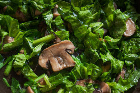 Healthy vegetarian food with spinach and stewed mushrooms close-up of spinach and mushroomsの写真素材