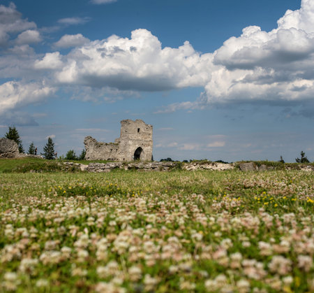 Ancient ruins of built in 12th century on Bona mountain with fowers Kremenets, Ternopil region, Ukraine.の写真素材