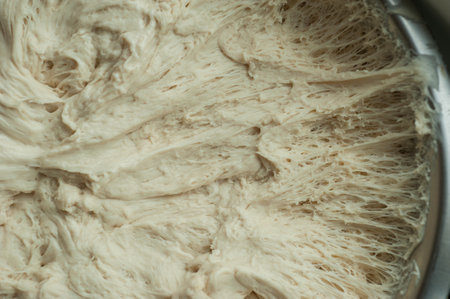 Italian Dough Recipe, Fermented Dough Homemade Bread Close Up