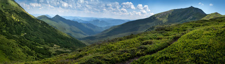 Big panorama of the Chornohirsky Ridge, Carpathians, trekking from of Pip Ivan, silhouettes of peaks on the horizonの写真素材