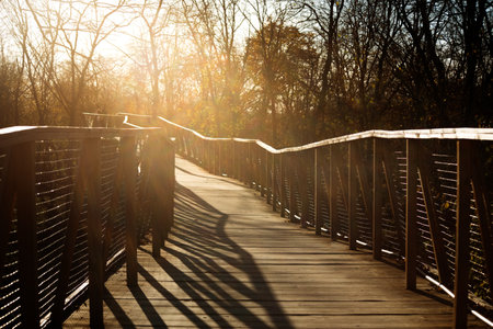 observation bridge over the autumn forest against the background of the golden sunset