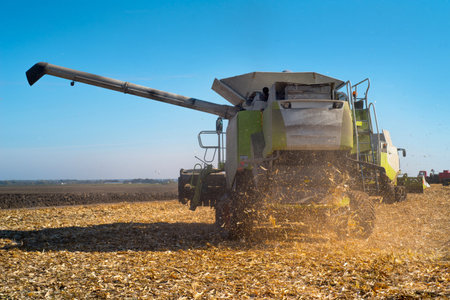 Combine harvester harvests ripe corn, rear view, sunlit dust, harvest in agriculture in autumnの写真素材