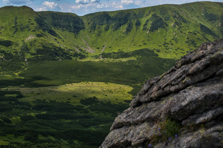 rocky slopes, alpine vegetation of the Black Mountain Range, Carpathians, Ukraine.の写真素材