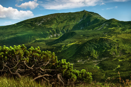 View of Mount Pip Ivan with observatory silhouette, alpine height, dwarf pines, Chornohirsky Range, Carpathians, Ukraineの写真素材