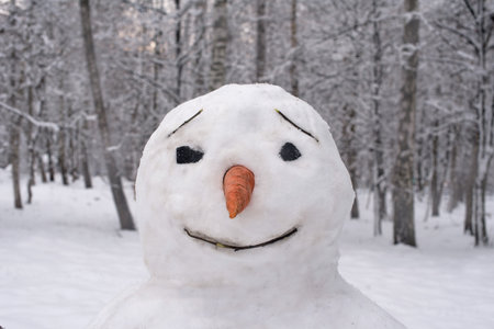 A portrait of snowman with a carrot instead of a nose and facial features made of branches and is childishly sincere.の写真素材