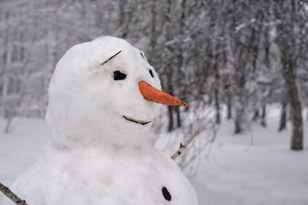 a snowman in the midst of a snowy winter forest or a park created by children's hands. A snowman with a smiling face, with a carrot instead of a nose and branches as hands, looks friendly and childishly sincere.の写真素材
