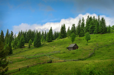 beautiful mountain landscape, slopes and meadows, wooden buildings, fences and spruce trees,...