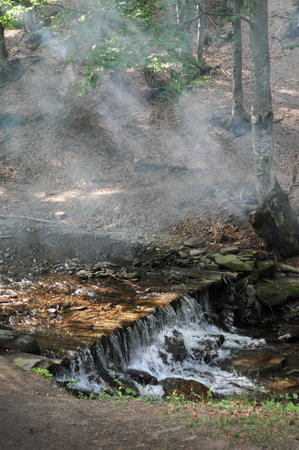 A small waterfall in the forest cascades over rocks, creating natural harmony. Rays of light break through fog between the trees.の写真素材