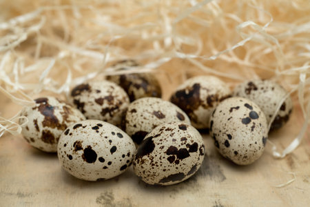 Still life with quail eggs on a wooden surface surrounded by decorative straw an atmosphere of rural coziness.の写真素材