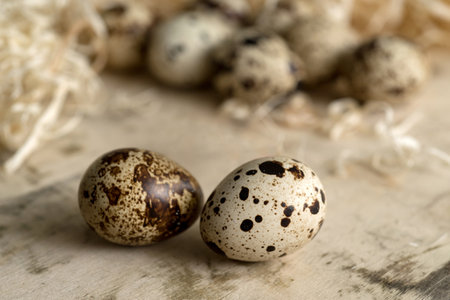 Close up of two spotted quail eggs on a wooden surface surrounded by strawの写真素材