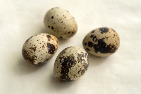 spotted brownish-beige quail eggs scattered randomly on light fabricの写真素材