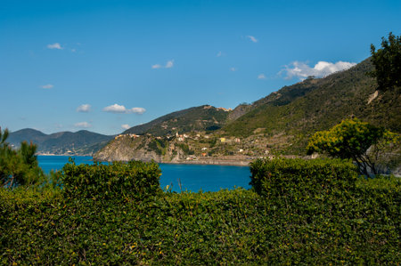Bright green vegetation, neatly trimmed, in the foreground and colorful villages nestled along the hills. The deep blue sea contrasts beautifully with the landscape design, the rugged mountain landscape. Manarola, Cinque Terre, Italy.の写真素材