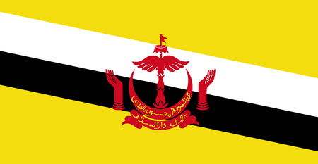Flag of Bruneiの写真素材