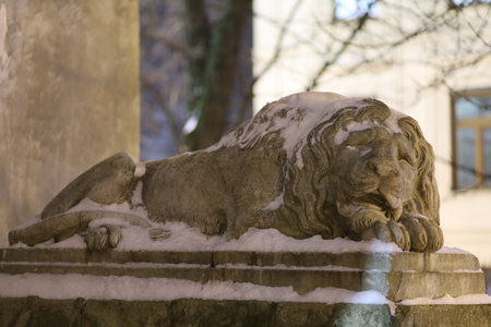 LVIV, UKRAINE - January 17, 2021: Sculpture of a sleeping lion in winter and at nightのeditorial素材