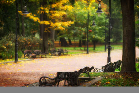 Beautiful autumn landscape in a city parkの写真素材