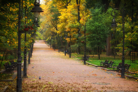 Beautiful autumn landscape in a city parkの写真素材