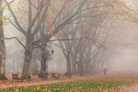Beautiful misty landscape of Stryisky park in autumnの写真素材