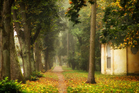 Beautiful autumn landscape and city parkの写真素材