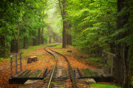 Beautiful railway track in autumn in a city parkの写真素材