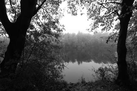 Gloomy landscape of lake and trees in black and whiteの写真素材