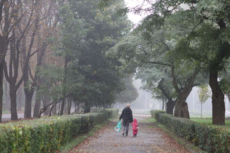 Foggy city park in autumnの写真素材