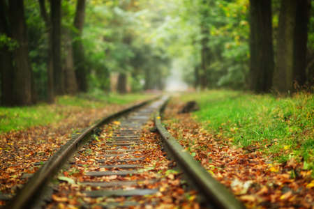 Beautiful railway track in autumn in a city parkの写真素材
