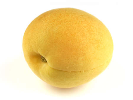One fresh apricot on a white backgroundの写真素材