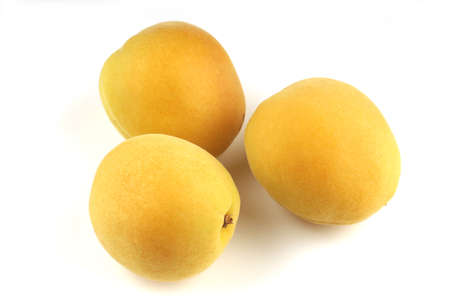 fresh apricot on a white backgroundの写真素材