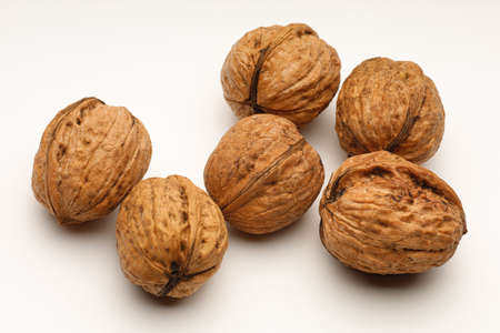 Several walnuts on a white backgroundの写真素材