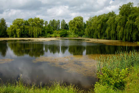 Beautiful lake in summer and cloudsの写真素材