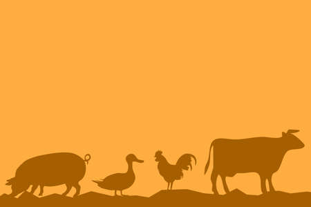 Pets profile place for text cope spaceの写真素材