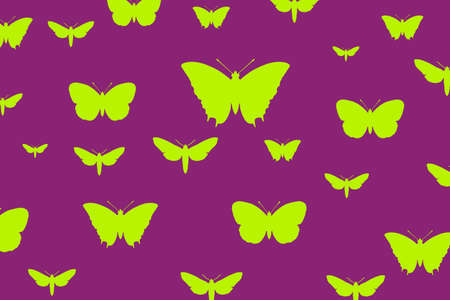 Yellow butterflies on purple backgroundの写真素材