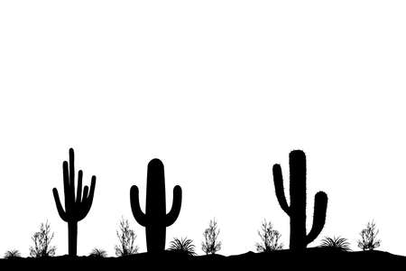 wild cacti in the desert place for text cope spaceの写真素材
