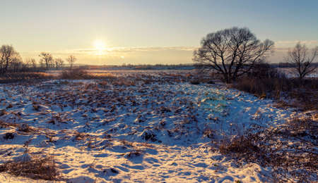 Beautiful winter snowy morning landscapeの写真素材
