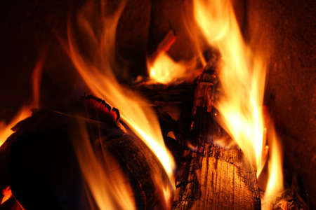 Fire burns and burns firewoodの写真素材