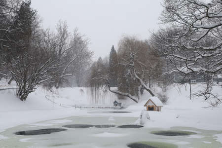 Winter and snowy city park beautiful landscapeの写真素材