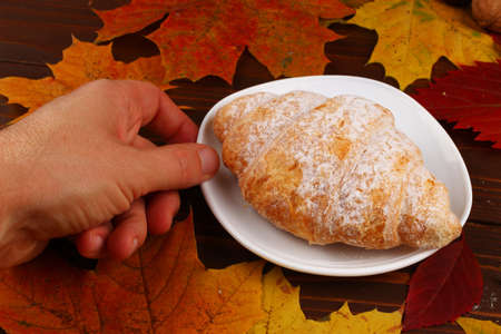 Croissant on the plate autumn still lifeの写真素材