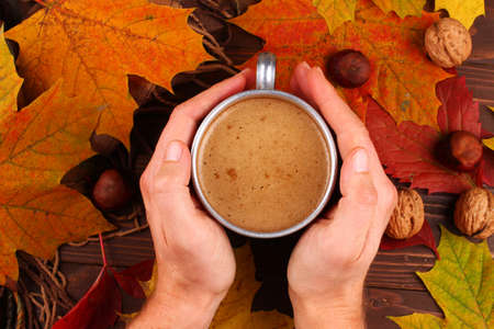 Cappuccino drink in a cup in the hands of autumnの写真素材