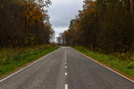 Empty road between autumn forestの写真素材